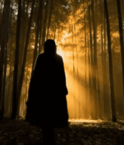 竹林中逆光行走的人2201#横屏 