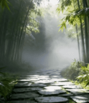 竹林间石板路阳光洒落景象13587#横屏 