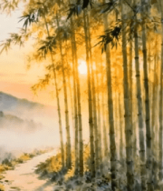 	 竹林晨曦自然风光素材13669#横屏 