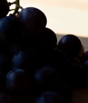 木桌上的新鲜葡萄素材13686#横屏 