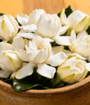 木碗中盛放的白色茉莉花13100#横屏 