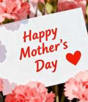 母亲节粉色康乃馨贺卡10054#横屏 