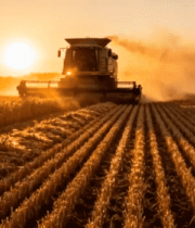 麦田收割机夕阳下作业2093#横屏 