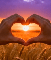 麦田中双手比心夕阳场景(1)12838#横屏 