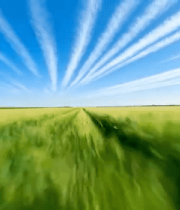 绿色麦田与蓝天白云风景12190#横屏 