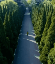 林间道路空中俯瞰画面12203#横屏 