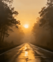 林间公路日出美景2871#横屏 