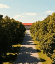 林间道路尽头的红顶建筑1289#横屏 