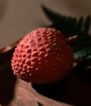 荔枝静物特写10677#横屏 