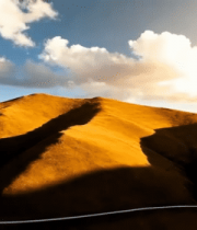 金色山丘自然风光8916#横屏 