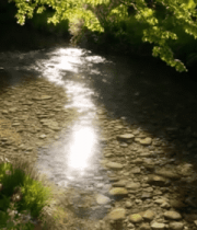 阳光照耀下的溪流自然风光7937#横屏 