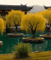 江南园林池塘柳树景观2189#横屏 