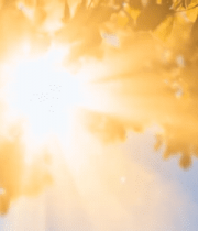 阳光透过树叶洒下景象10401#横屏 