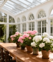 阳光花房内的桌椅沙发景观2963#横屏 