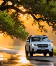 阳光树林中行驶的白色汽车5330#横屏 