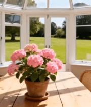 阳光房内木质桌椅与花卉景观2648#横屏 