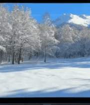 火车窗内看雪景森林6697#横屏 