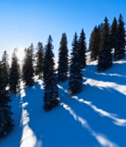 雪山松林冬日风光5627#横屏 