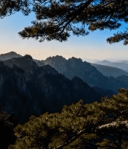 	 黄山山峰松树自然景观2856#横屏 