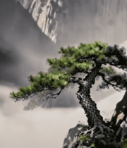 黄山水墨风格松树景观12675#横屏 