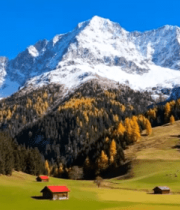 雪山下森林草地风景素材5182#横屏 