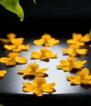 黄色花朵微距特写素材6413#横屏 