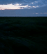 黄昏时分草原风光14123#横屏 