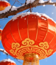 雪后树枝上的红灯笼素材2905#横屏 