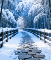 雪后竹林石板路风景(1)10253#横屏 