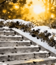 雪后树林中的石阶景观3293#横屏 