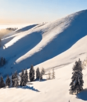 雪覆盖的山林全景13956#横屏 