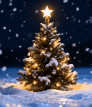 雪地中装饰的圣诞树夜景7105#横屏 