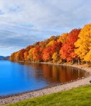 湖畔秋色小船风景3675#横屏 