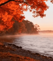 湖畔秋日红叶长椅风景1032#横屏 