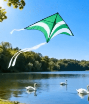 湖畔放风筝的自然风光2901#横屏 