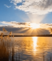 湖畔芦苇夕阳自然风光(1)8248#横屏 