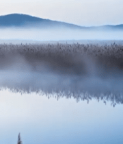 	 湖畔芦苇自然风光1127#横屏 