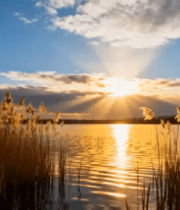 湖畔芦苇夕阳风光6962#横屏 