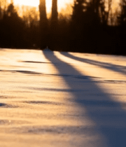 雪地森林日落景象12708#横屏 