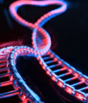 渲染双螺旋结构(2)14502#横屏 