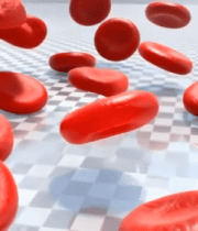 渲染血液红细胞1122#横屏 