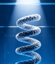 渲染模型展示9806#横屏 