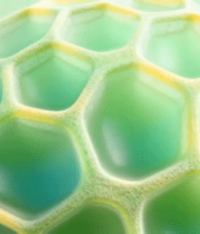 渲染细胞结构素材8188#横屏 