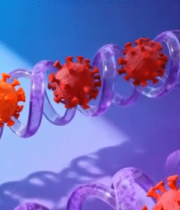 渲染病毒与结构素材11822#横屏 