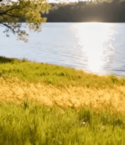 湖边草地阳光风景6029#横屏 