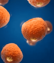 渲染细胞微观素材4159#横屏 