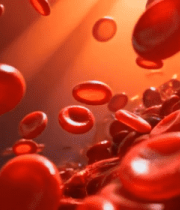红细胞动态展示素材9250#横屏 