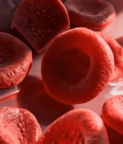 红细胞微观展示画面4897#横屏 