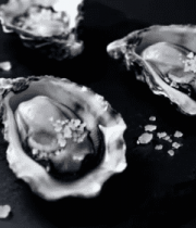 黑色石板上的新鲜生蚝(1)8076#横屏 