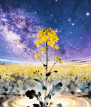 星空下的油菜花田素材245#横屏 